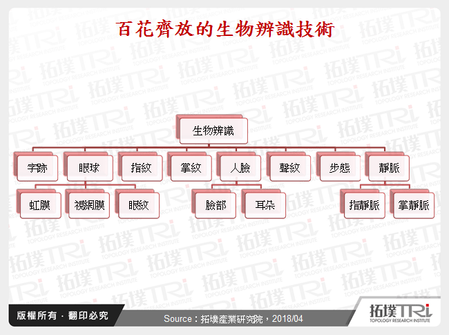 百花齊放的生物辨識技術