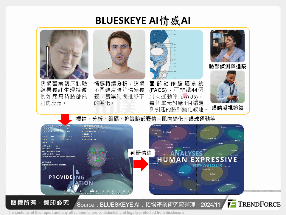 BLUESKEYE AI情感AI